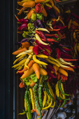 variety of hot peppers of different colors
