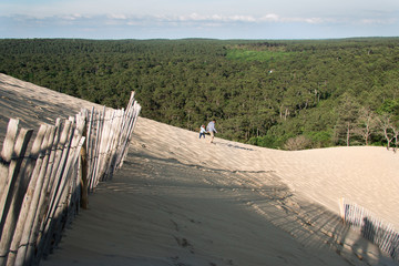 okolica Dune du Pilat  © Ewa