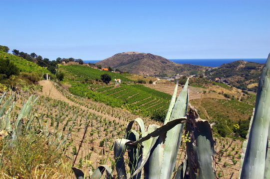 Paysage des Pyr&eacute;n&eacute;es Atlantique