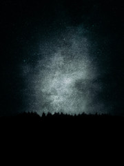 forest in the mountain at night with grungy textures