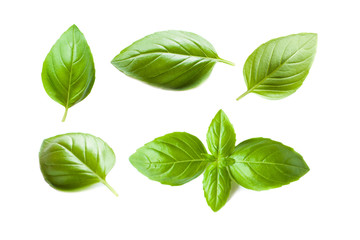 Set of Fresh Basil leaves isolated on white background. Macro. Top view. Flat lay.