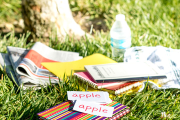 Swedish and English; Learning New Language with Handwritten Flash Cards. Translation; Apple