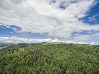 Aerial of a forest in Argyll