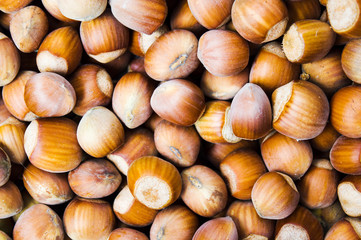 Hazelnuts forming a background
