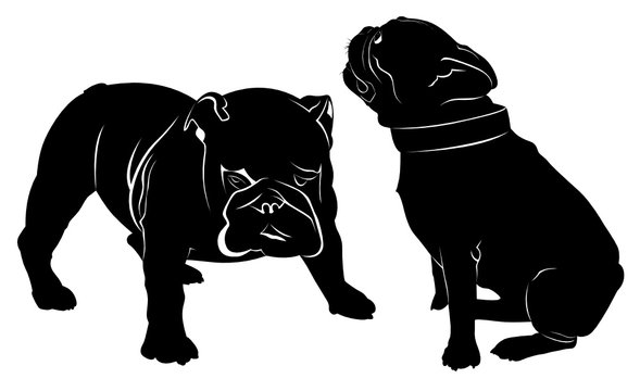 Dog Bulldog. The dog breed bulldog.Dog Bulldog black silhouette vector isolated on white background. Dog pug. Meeting two dogs of a bulldog and a pug