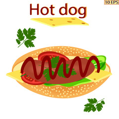 Hot dog. Hot dog with sausage. Delicious hot dog with ketchup. Bun, tomato, cheese, sausage, cheese. Tasty hot dog with sausage, cheese, tomato, lettuce, parsley. Fast food. Vector illustration.