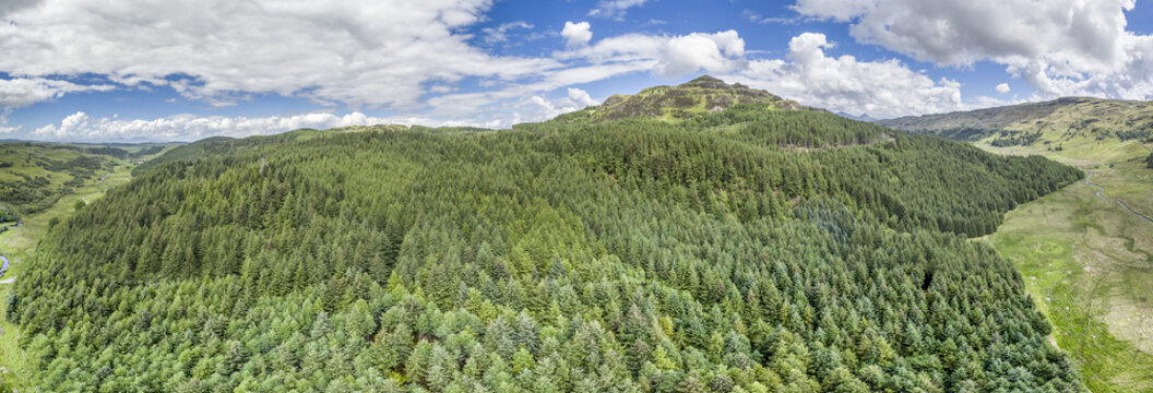Aerial of a forest in Argyll