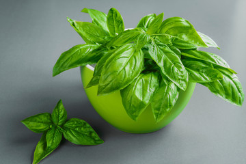 Fresh juicy aromatic herb basil and inflorescence in a pattern on a gray background with copy space