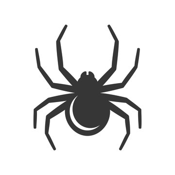 Black Spider Icon