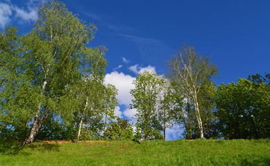 Fototapeta premium territory of Eco Shore Park in Khimki, Russia