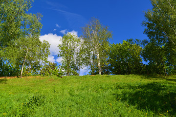Fototapeta premium territory of Eco Shore Park in Khimki, Russia