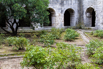 outside the Abbey of Silvacane, in Provence