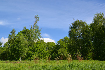 Obraz premium Public Eco Shore Park in Khimki, Russia