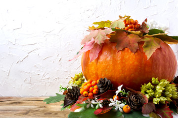 Fall table centerpiece with pumpkin and cones, copy space