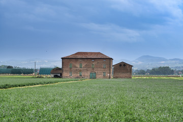Obraz premium Rural landscape near Fidenza (Parma)