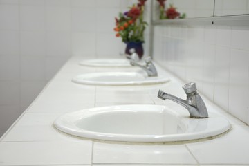 Clean white wash basin in bathroom and ornamental flowers.