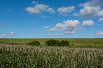 Landschaft am Nordseedeich