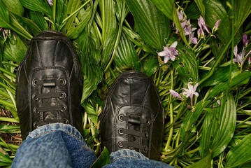 чёрные кожаные туфли на ногах стоят на зелёных листьях и цветах - obrazy, fototapety, plakaty