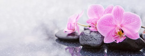 Fotobehang Roze orchidee en spa geïsoleerde stenen. © Swetlana Wall