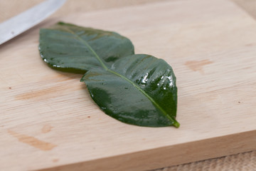 Kaffir Lime Leaves on sack