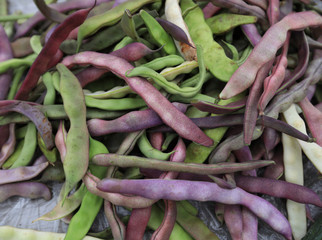 fresh beans selling at the agriculture fair