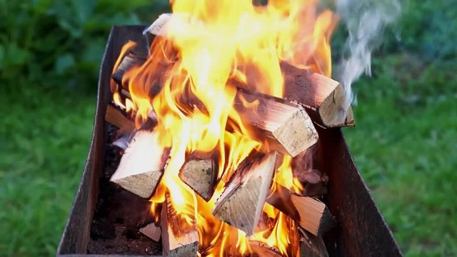 Birch firewood burns