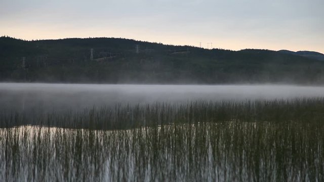 lac