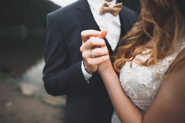 Wedding couple bride and groom holding hands