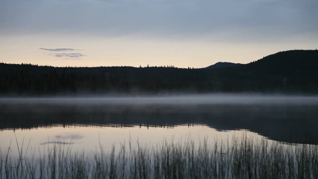 lac