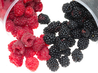 blackberries and raspberries