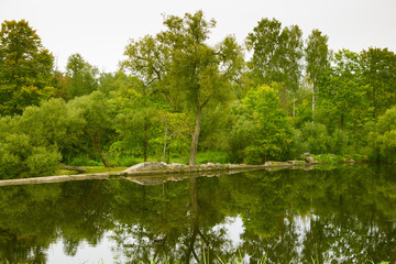 Fototapeta na wymiar A beautiful reflected landscape of a forest near the river. Green autumn scenery.