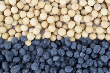 Soybeans and black beans.