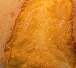 sponge cake close up as background and texture