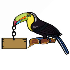 tukan bird and  wood banner © Serkan