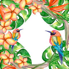 Tropical frame. Plumeria flowers. Leaves of monsters. Paradise colorful bird.