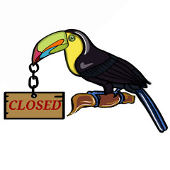 tukan bird and closed text  wood banner © Serkan