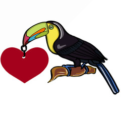 tukan bird and heart banner © Serkan