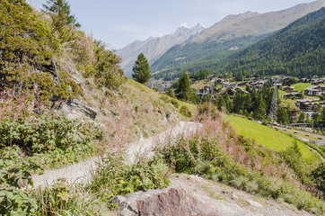 Zermatt, Dorf, Bergdorf, Walliser Dorf, Furi, Zmutt, Alpen, Walliser Häuser, Wanderweg, Bergbahn, Bergblumen, Bergwiesen, Wallis, Sommer, Schweiz