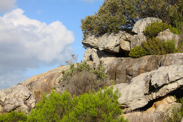 landscape with mountain views