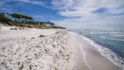 Ostseestrand am Darss in Mecklenburg-Vorpommern