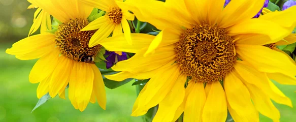 Wandcirkels plexiglas Yellow sunflowers and bee. © Swetlana Wall