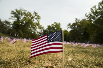 Flags for 9/11 victims on anniversary of September 11, 2001 terrorist attacks in the United States.