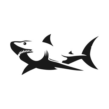 Shark black silhouette on white background. Tattoo template. Vector illustration.