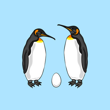 Vector illustration of bird penguin couple with egg. Emperor penguin family