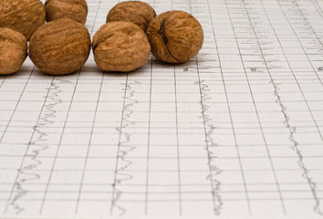 Electrocardiogram graph (ECG), heart analysis. Walnuts