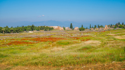 Ruins of the ancient city. Turkey
