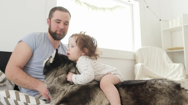Happy little girl riding her dog indoore with father