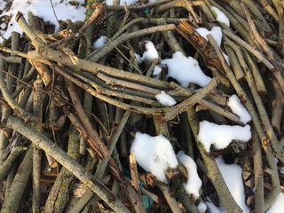 schneebedeckte Äste