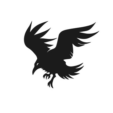Crow black silhouette. Vector illustration.