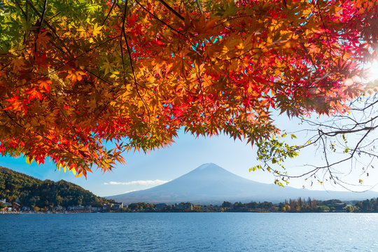 Berg Fuji im Herbst, Kawaguchiko, Präfektur Yamanashi, Japan